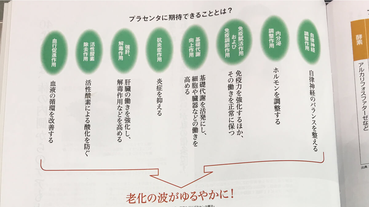 プラセンタの効果